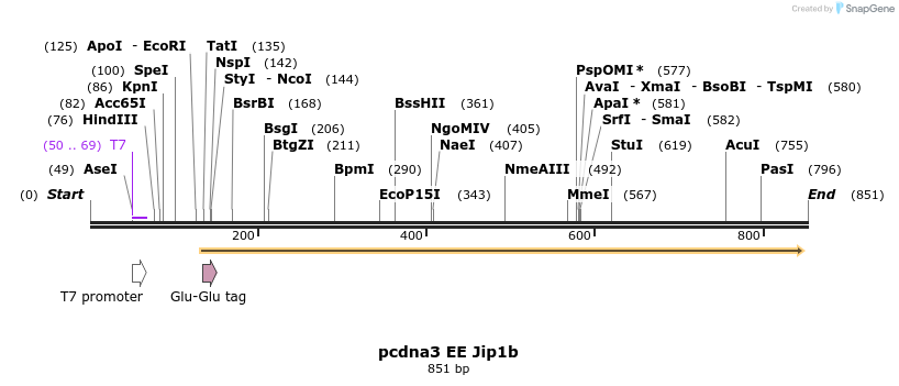82973_map