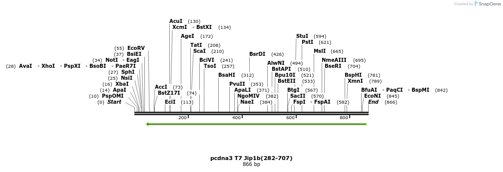 82975_map