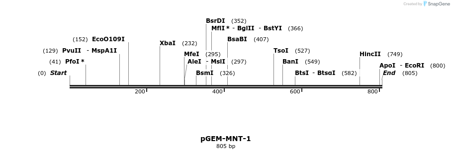 8300_map