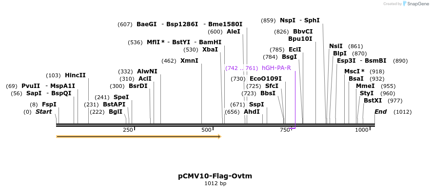 83005_map