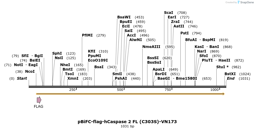 83009_map