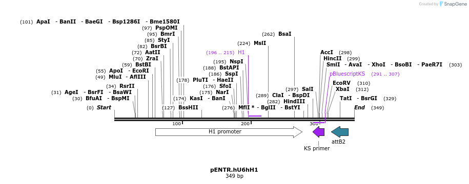 83011_map