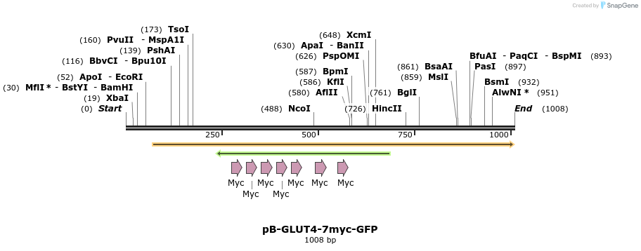 83018_map