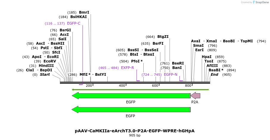 83029_map