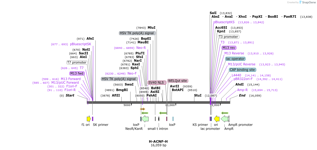 8303_map