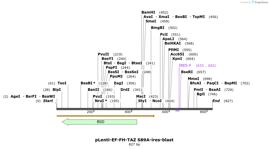 83032_map