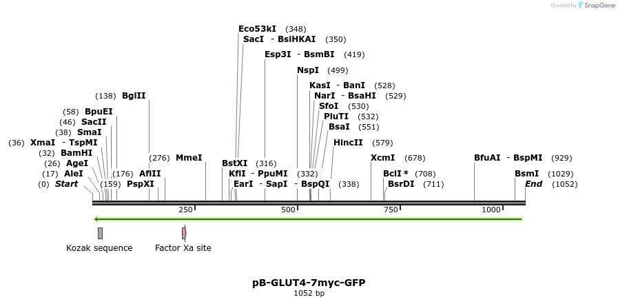 83039_map