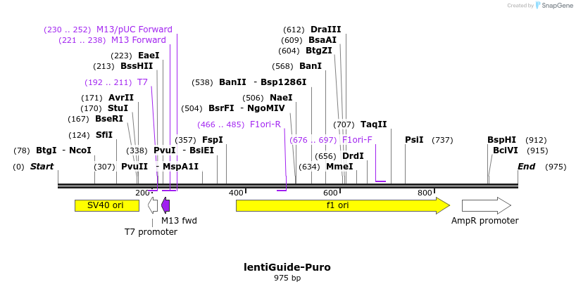 83040_map