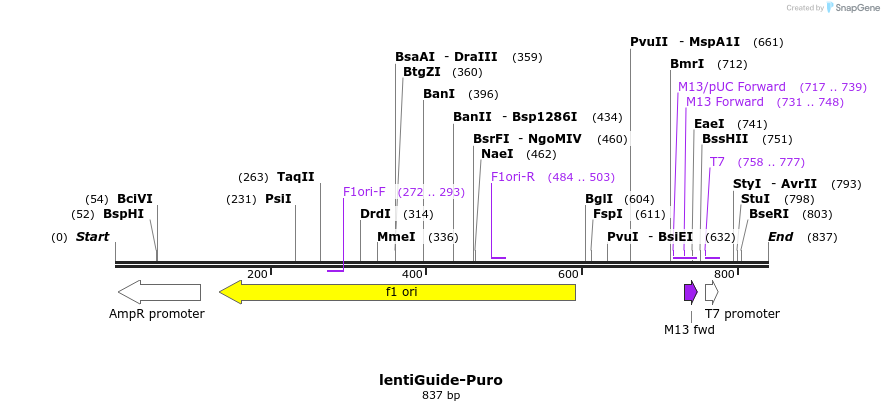 83042_map