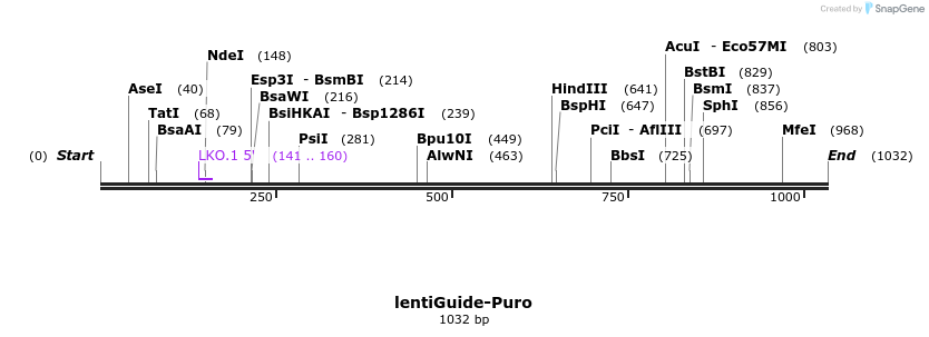 83044_map