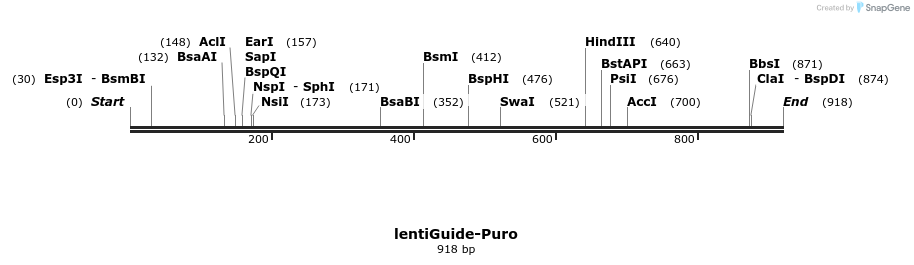 83045_map