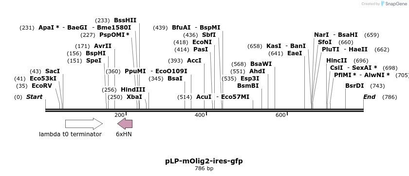 83047_map