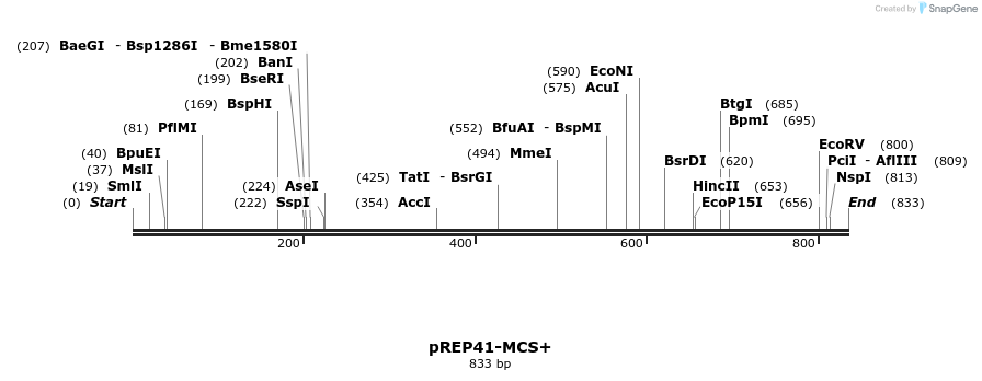 83049_map