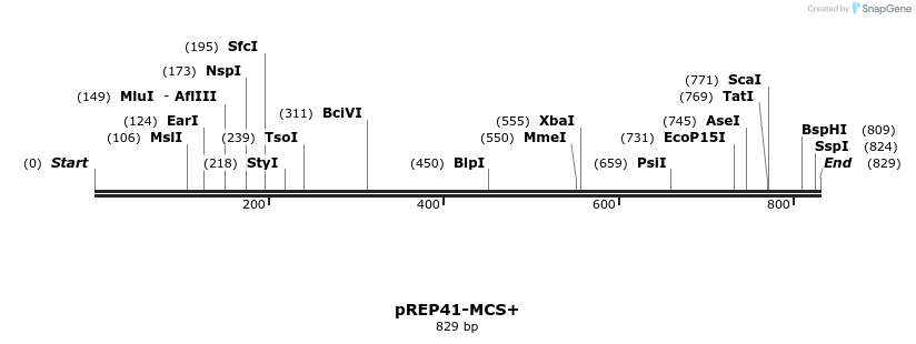 83050_map
