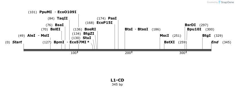 8306_map