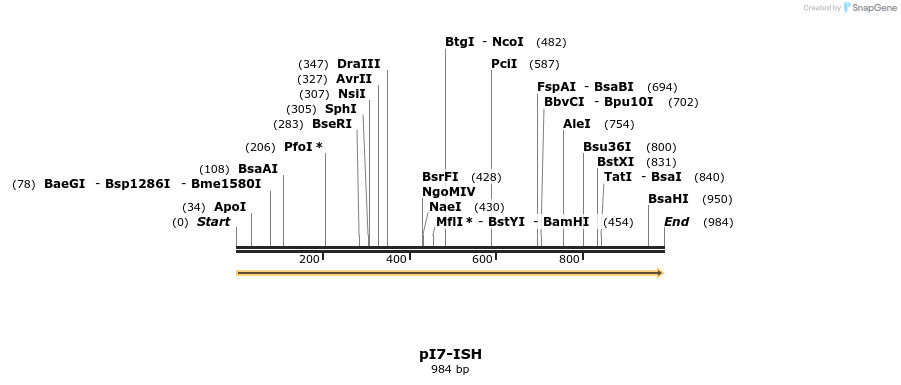 8307_map