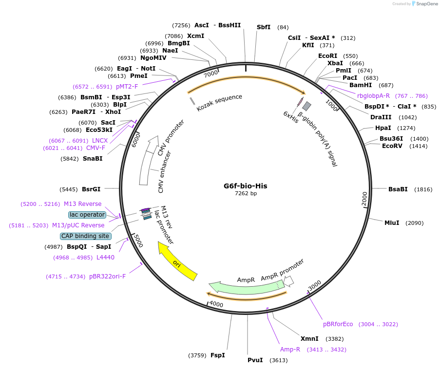 83072_map