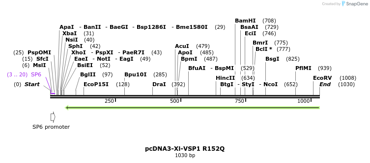 83083_map