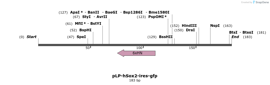 83085_map