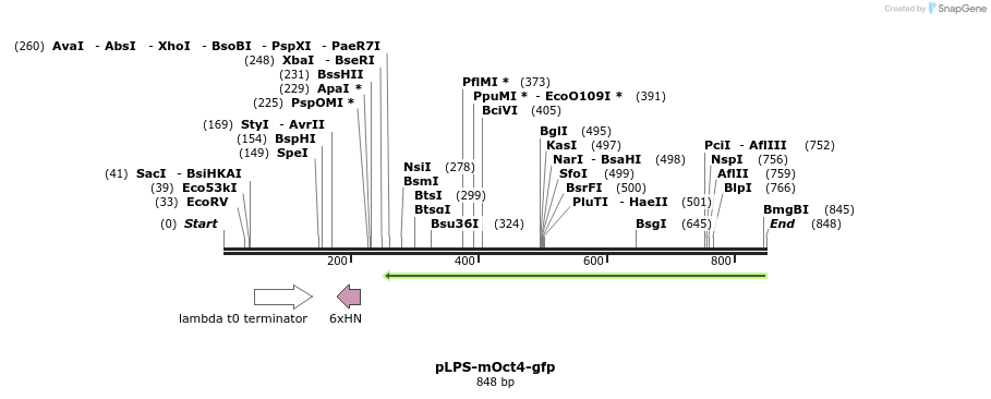 83091_map