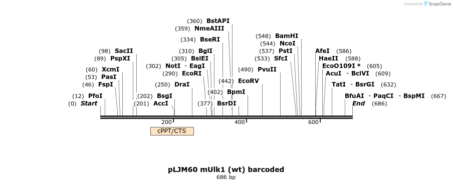 83096_map
