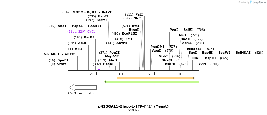 83101_map