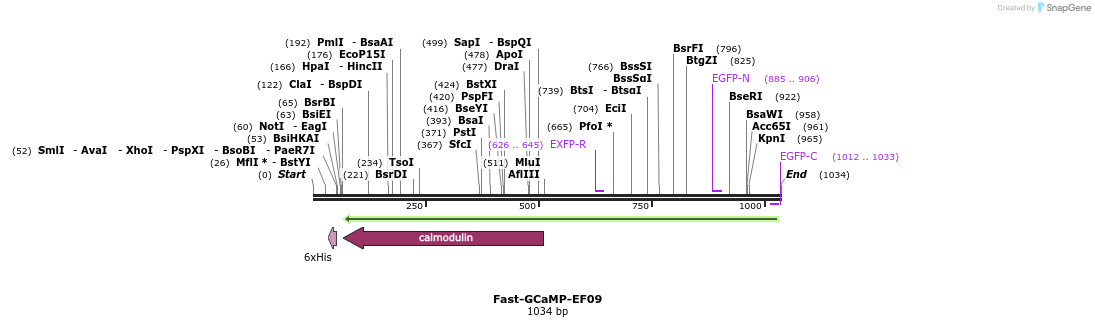 83105_map