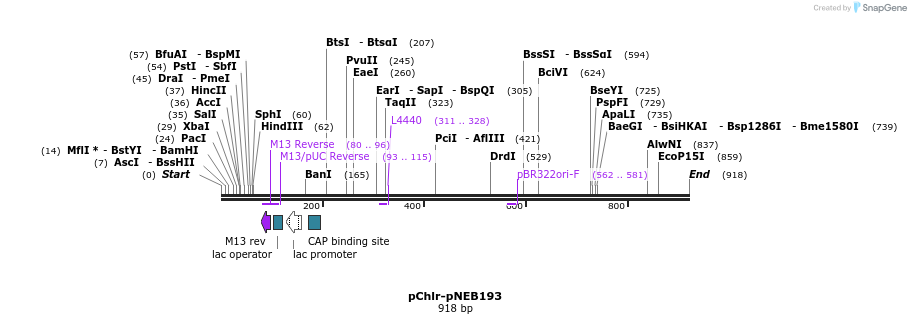 83107_map