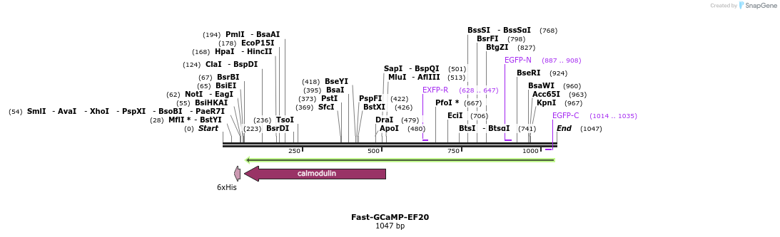 83109_map