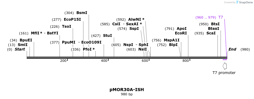 8311_map