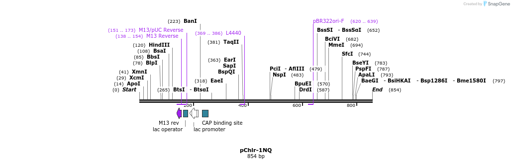 83112_map