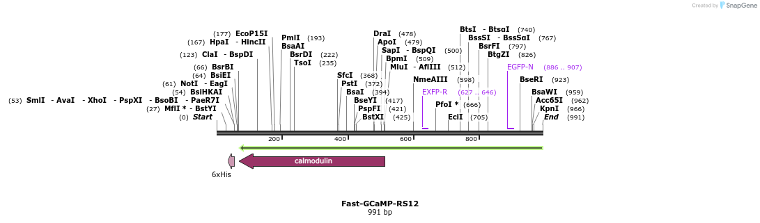 83116_map