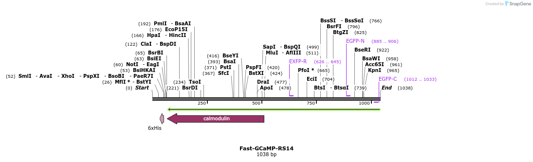83118_map