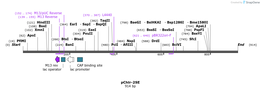 83119_map