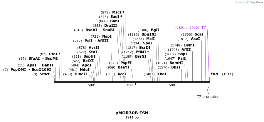 8312_map