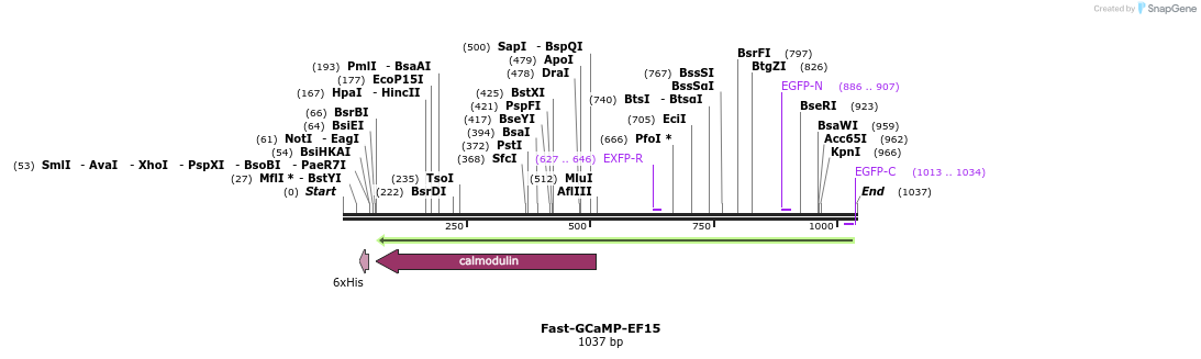 83125_map