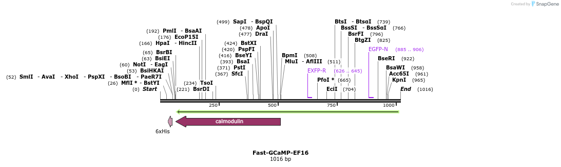 83130_map