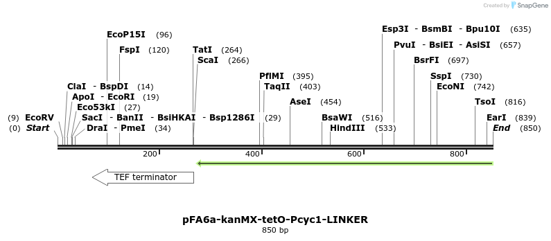 83146_map