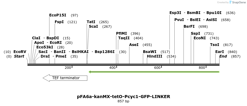 83148_map