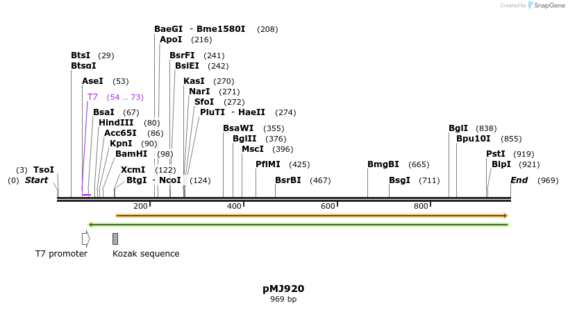 83223_map