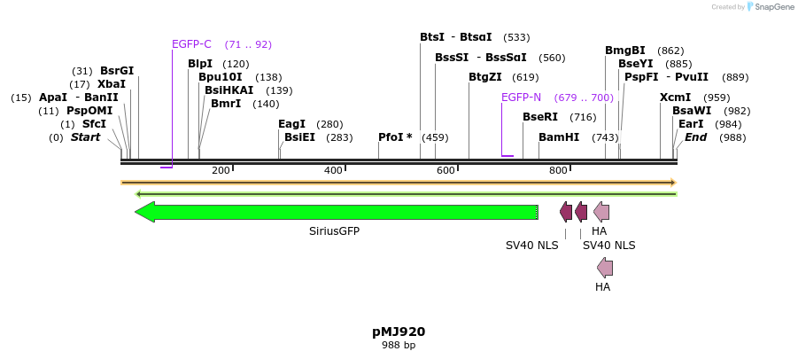 83225_map