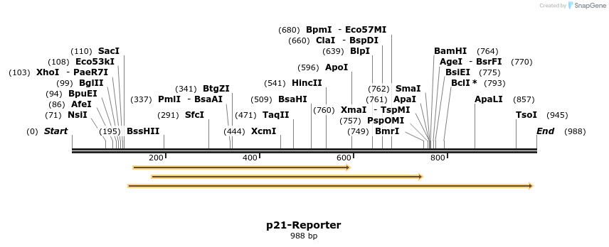 83226_map