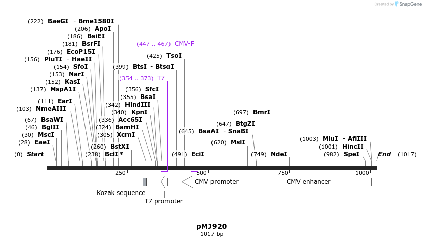83228_map