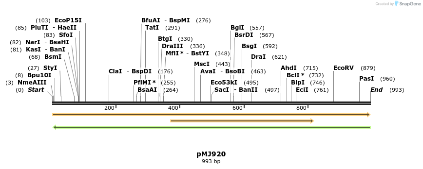 83229_map
