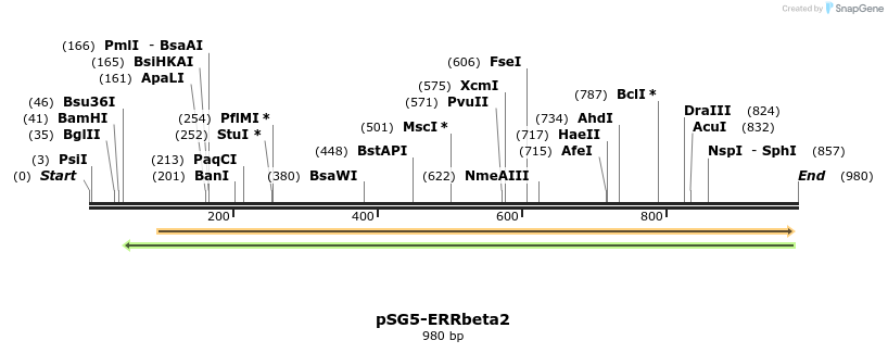 83242_map