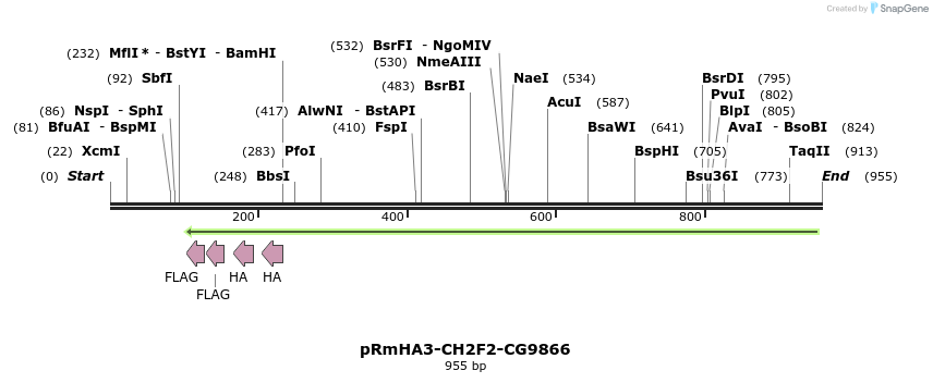 83249_map
