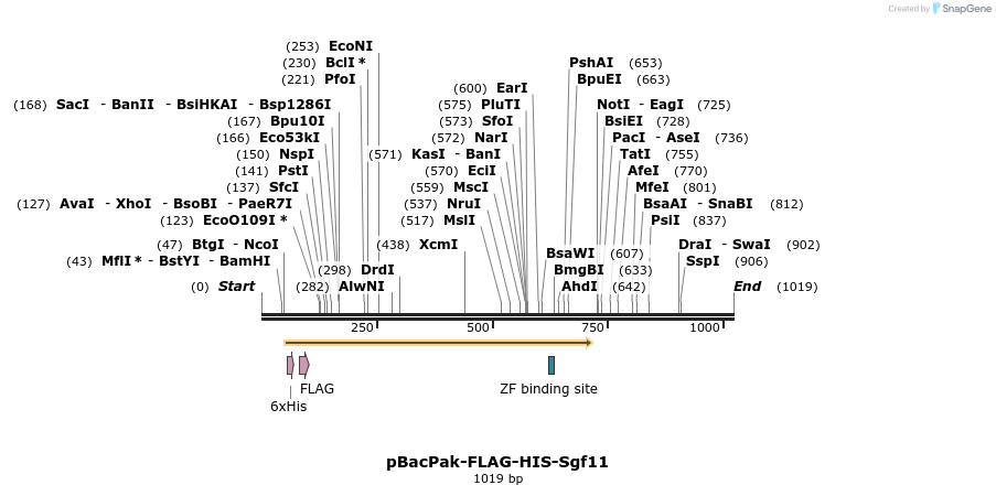 83250_map