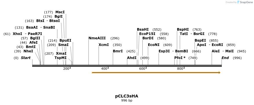 83262_map