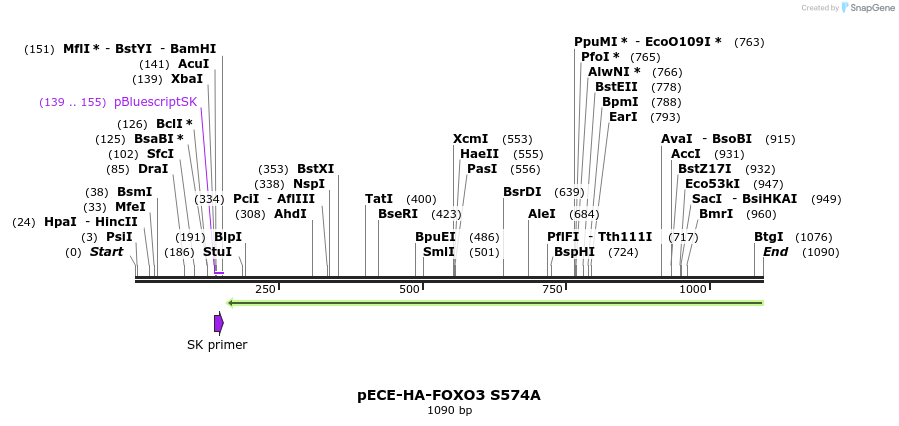 83264_map