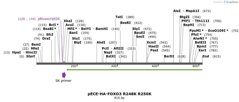 83265_map